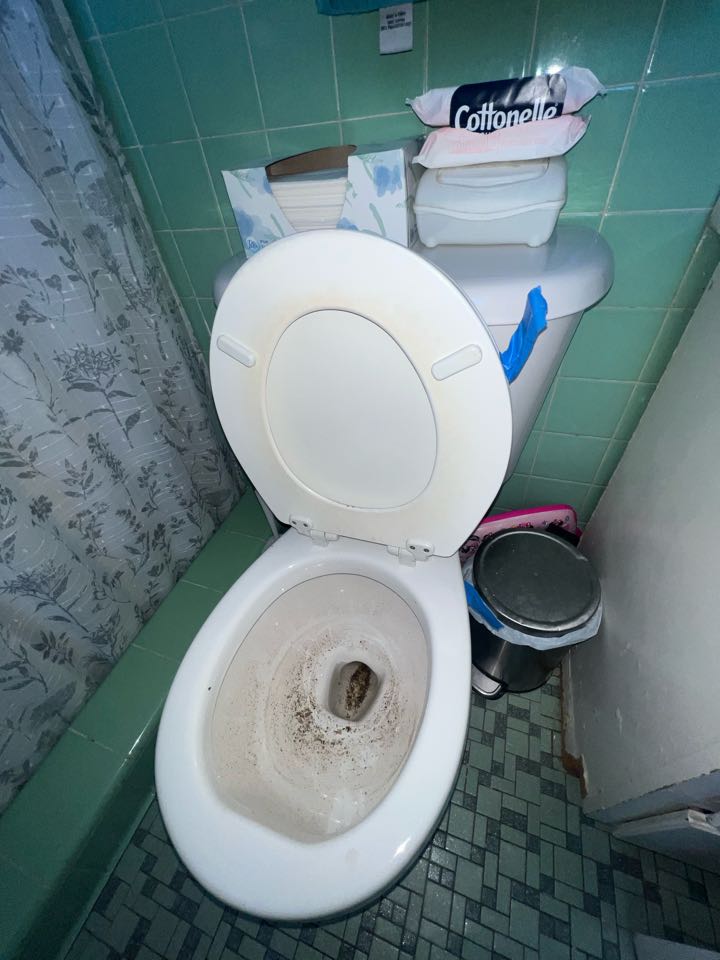 Auger toilet in Beachwood NJ