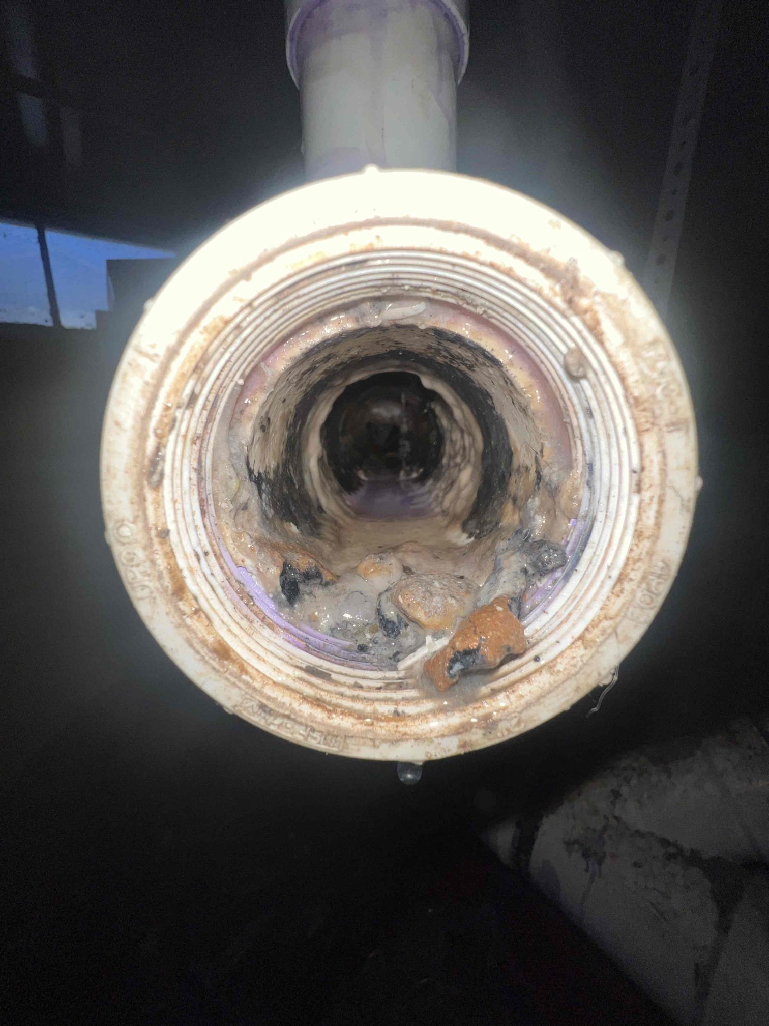 Arrived on site client stated her toilet is clogged and this has happened in the past. Toilet is an older toilet and when going in the basement i noticed whoever piped in the kitchen used the wrong fittings causing buildup. Left options for new toilet and pipe repair and client stated she is getting that bathroom renovated so she would like to wait on a new toilet for now. Today we augered the toilet and signed the client up for the membership. When done I flushed the toilet multiple times and it is now flushing as it should.