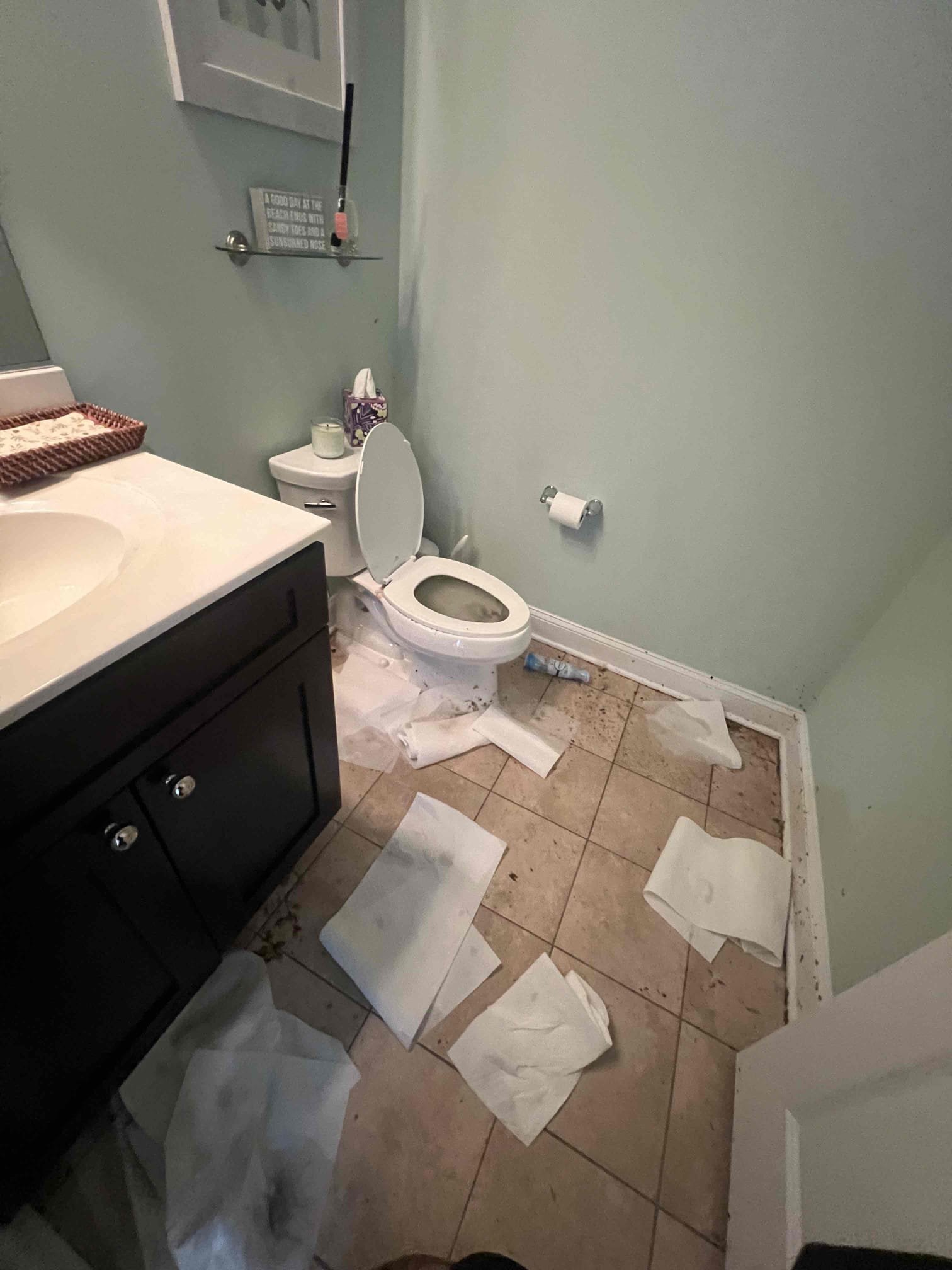 Pull toilet and snake main . We will send senior tech out for another day.