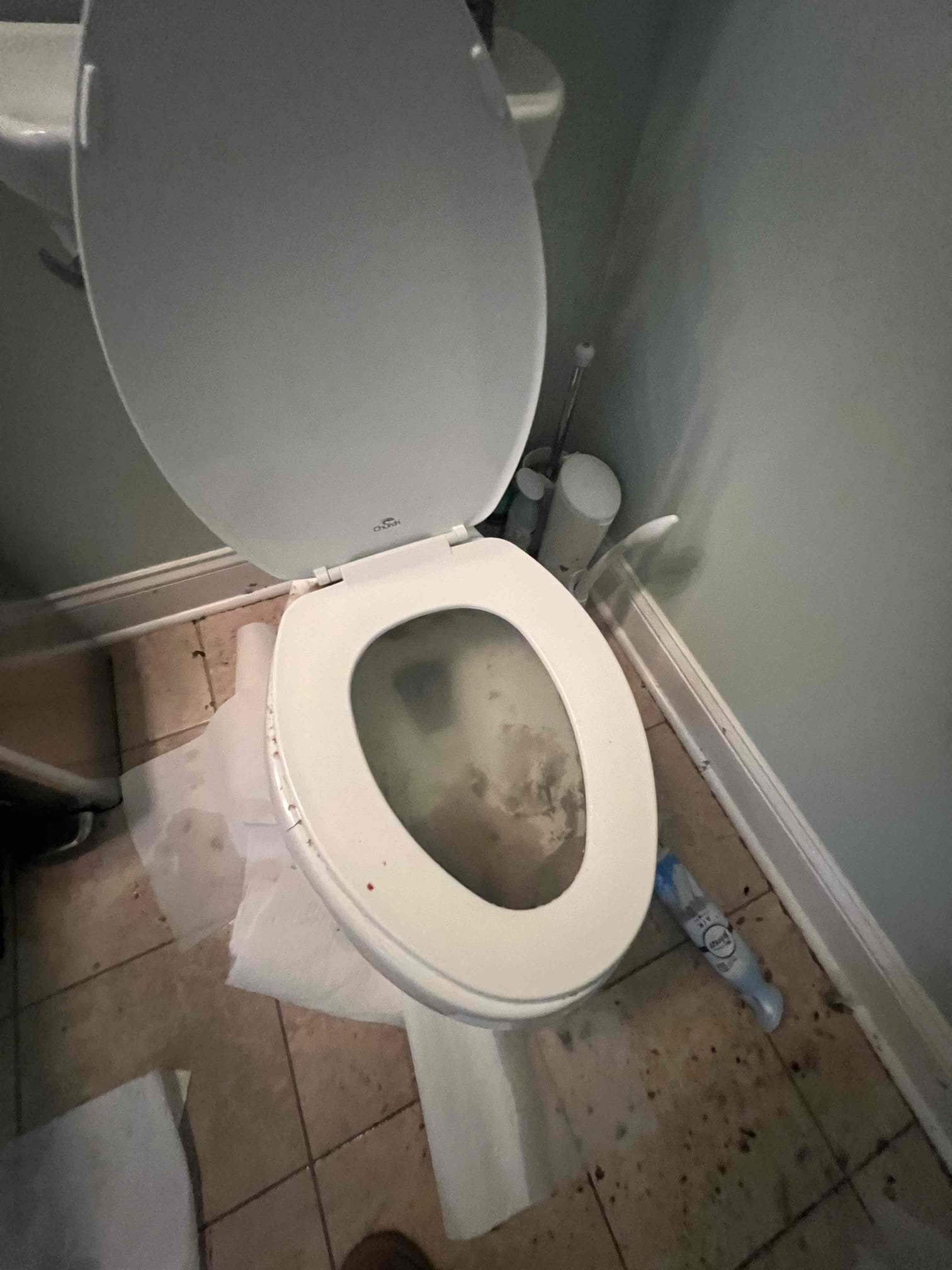 Pull toilet and snake main . We will send senior tech out for another day.