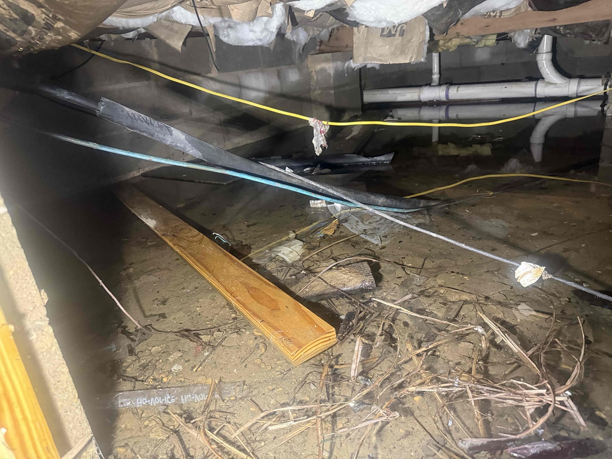 Arrived to home to check for broken lines. Went inside to turn water on and pipes are frozen. Cannot test for leaks because there no water. Crawl space is full of water and floors on first floor are buckling. Will have to wait to come back when pipes are thawed out to further inspect. Waived 59
Attached are pics of inside of home where damage was found. Ceiling in garage and bathroom had fallen from water damage.
Water heater should also be reapleced do to age but we will come back when home is thawed and leave options then.