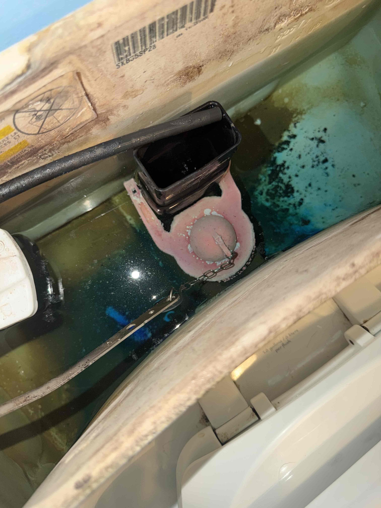 Hardness 4
PH 7.4
Chlorine 0.3 ppm
Pressure 70psi

Arrived to the home, client has an older Kohler one piece toilet that constantly runs. They have another Kohler toiler that is much newer. I dye tabbed both toilets and the new Kohler passed the test, while the older one piece failed my test very quickly. I provided options for the client and they asked how much it would be for just a new direct replacement flapper. I showed the client the benefits of the MyGuy Plumbing Membership and I advised to them that I can replace the flapper only if they wanted to become a member. They would like to join and get the toilet to stop running. I replaced the flapper and the toilet is retaining water and working correctly. I advised to the client that I can not provide any warranty on any existing parts for the Kohler one piece toilet, client is aware.

*Client is now a membership 