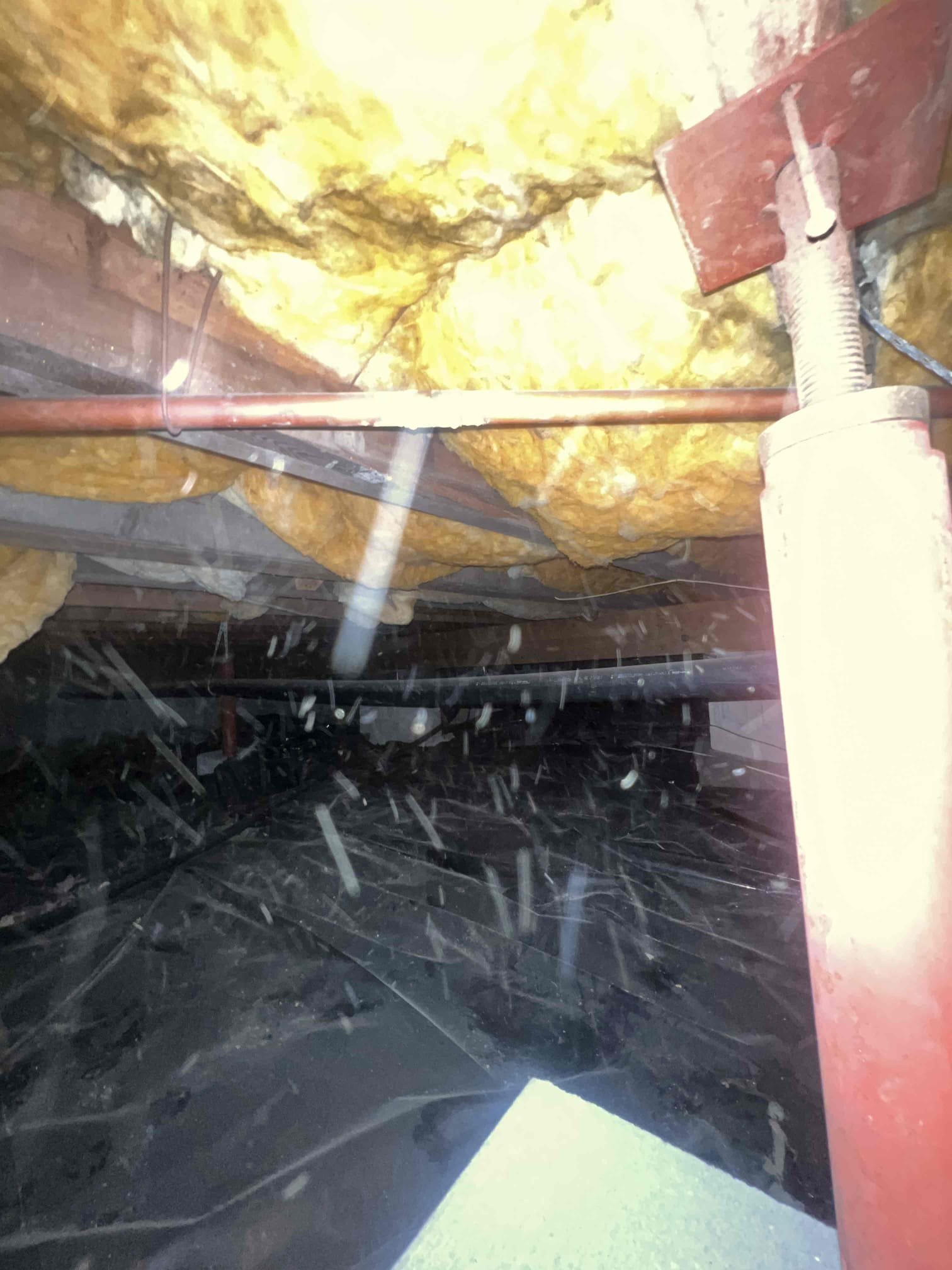 Arrived on site clients stated thier washing machine was backing up out of the laundry sink. Upon inspection further down the line the kitchen line is bellied and packed with grease. Client stated this would only happen sometimes. It is very possible that if the washing machine was running at the same time the kitchen was being used that that’s when it would back up out of the laundry sink. Today I cut out a 10 ft section of the bellied kitchen line and offered to the client for us to come back and hydro jet the entire washing machine and kitchen line going to the main. We will be returning tomorrow morning to hydro jet.