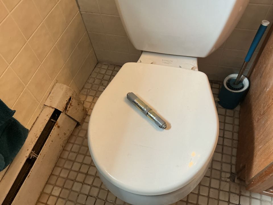 Unclogged toilet in Bayville NJ