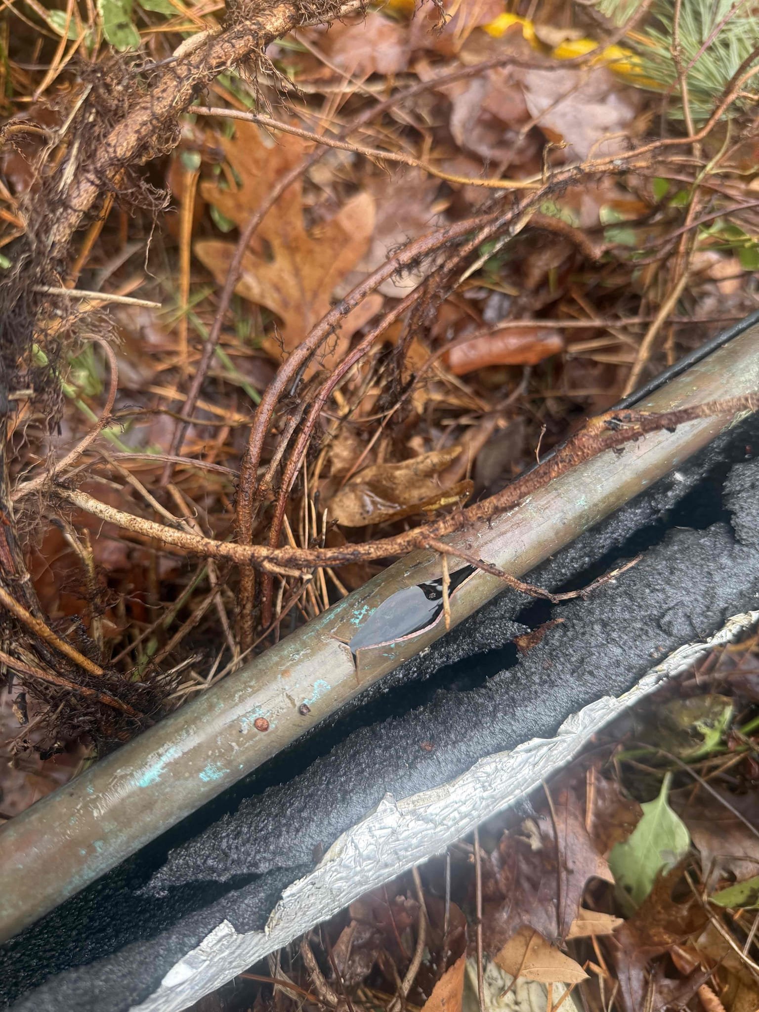 Arrived to home for leak. Upon inspection found mobile home piped in pb. Highly recommend repiping home. MyGuy will be coming back next week to pipe home in pex piping.found a break outside where main is. Freeze break and solder fitting popped out. Today I fixed that to get customer running water. There are no leaks at this time.
Heat tape is on exposed pipe leading to home. Cannot warranty exposed pipe. Took 1000 dollar deposit.