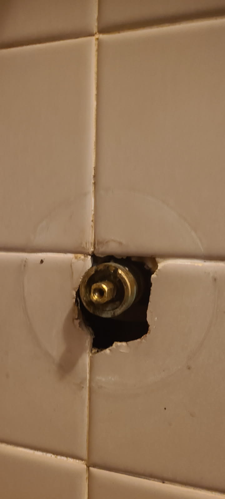 Arrived on site customer stated that they had issues with their shower leaking. After inspecting we noticed customer has a Moen troll shower valve. While inspecting we also noticed that the boiler was dripping. MyGuy plumbing contacted office and will get a senior tech out.