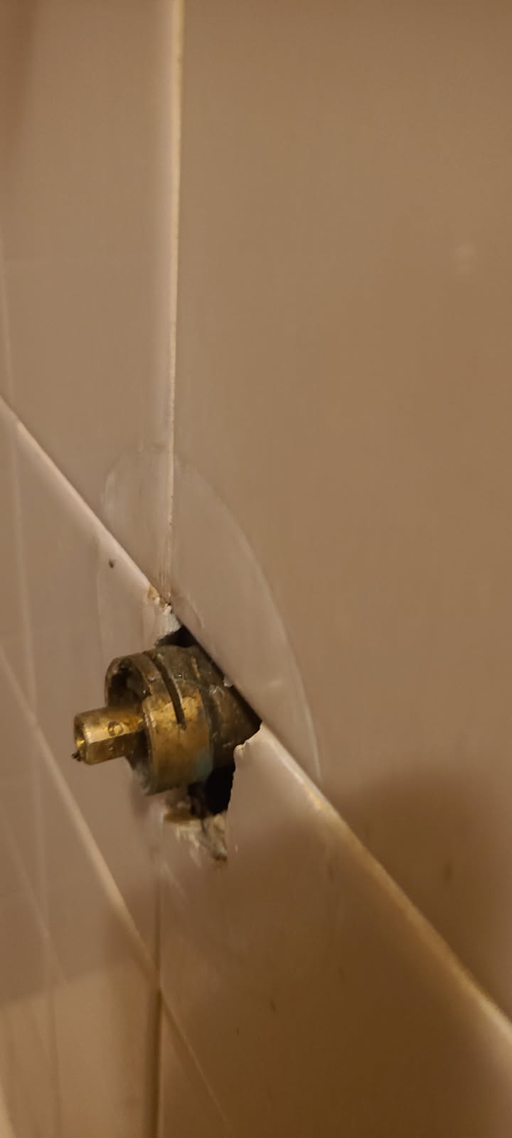 Arrived on site customer stated that they had issues with their shower leaking. After inspecting we noticed customer has a Moen troll shower valve. While inspecting we also noticed that the boiler was dripping. MyGuy plumbing contacted office and will get a senior tech out.