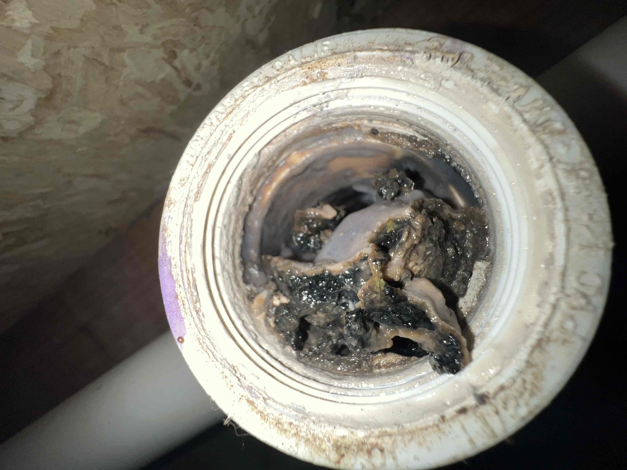 Arrived on site client stated their kitchen sink was clogged. Upon inspection in the crawlspace I noticed the kitchen line was not strapped at all and when opening the cleanout it was packed with grease. Advised client it was best to repipe and upgrade the pipe size to 2”. Repiped kitchen line and strapped it every 3ft and added a cleanout. When done I tested the kitchen sink and it is draining as it should.