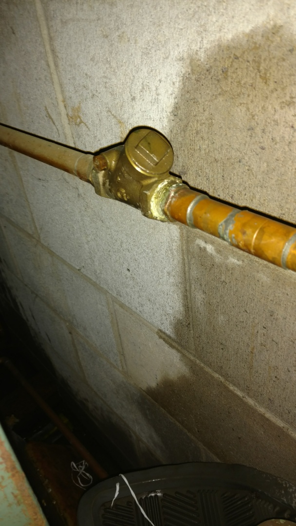 Install isolation valve on boiler system to service check valve