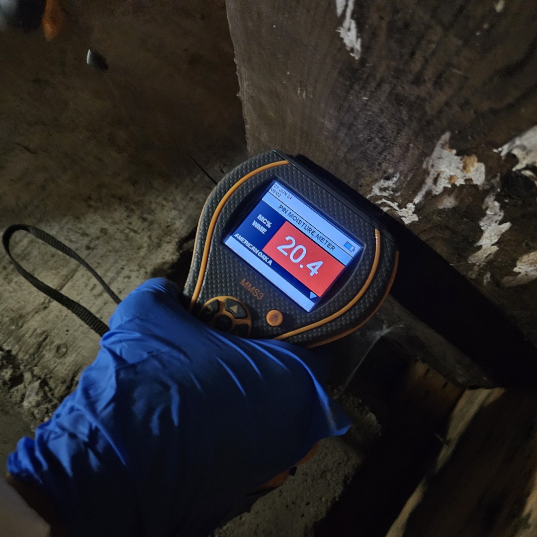 In-depth Suspect Microbial Investigation for the purposes of writing a protocol for potential remediation and cleaning of a crawlspace.