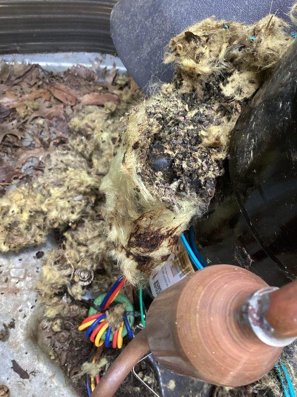 Performed diagnostic service on 6-year-old heat pump system that customer reported was providing insufficient heat with intermittent error codes. Inspection revealed significant debris accumulation and deteriorated insulation around electrical connections, with exposed wiring requiring attention. Cleaned accumulated debris, restored proper insulation, and verified circuit board functionality and connections. System now operating at proper specifications with no error codes present.