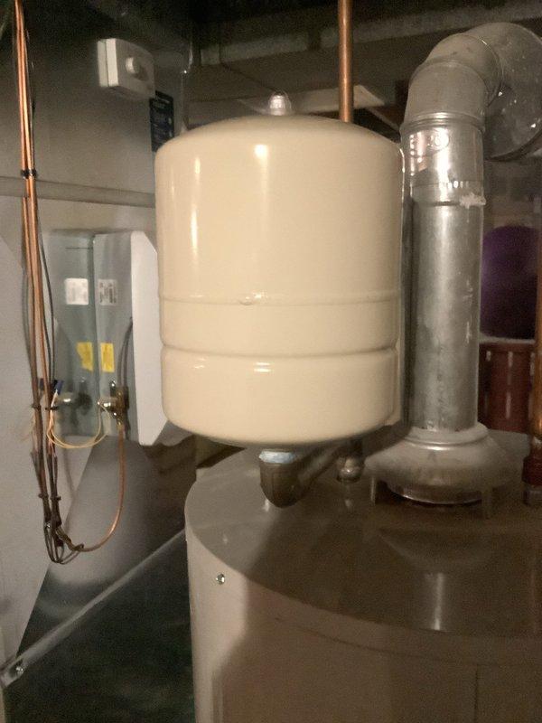 Conducted CPM plumbing inspection and identified a leaking temperature and pressure relief valve on gas water heater requiring replacement. Also observed possible mold/mildew development in shower area and noted properly installed expansion tank connected to water heater system.