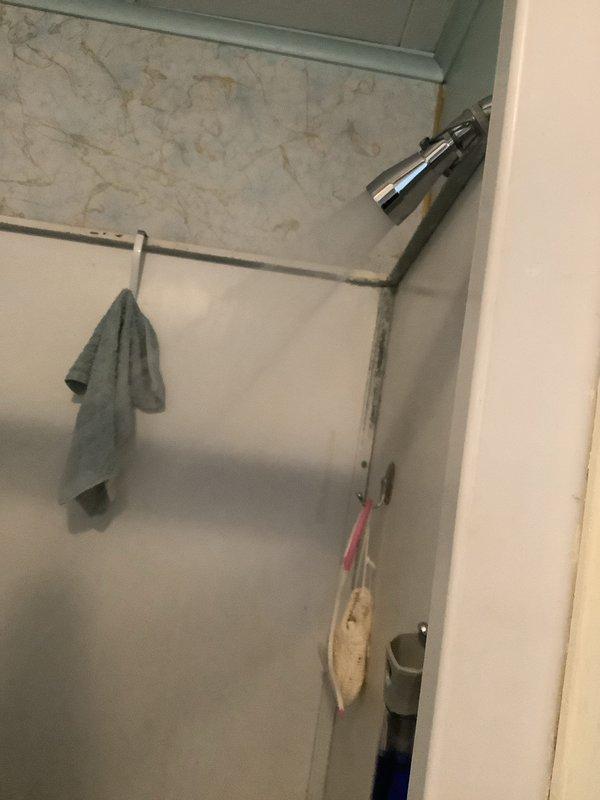 Conducted CPM plumbing inspection and identified a leaking temperature and pressure relief valve on gas water heater requiring replacement. Also observed possible mold/mildew development in shower area and noted properly installed expansion tank connected to water heater system.