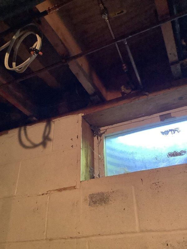 Responded to multiple plumbing issues including an upstairs shower with active leaking and drain leakage penetrating into the downstairs kitchen cabinet below. Inspected outdoor hose bibb with broken handle and evaluated the associated shut off valve for potential replacement or addition. Assessed indoor shut off valve on hose bibb from previous visit to determine if replacement is necessary. Documented conditions in basement utility area and affected kitchen cabinet for estimate preparation on shut off valve work.