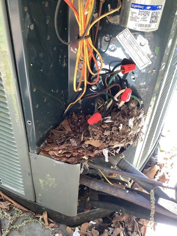 Responded to no-cooling complaint with indoor temperature at 80 degrees despite thermostat set to 76 degrees. Upon inspection of outdoor condensing unit, found excessive leaf debris and organic matter accumulated inside electrical compartment, obstructing airflow and creating potential electrical hazards. Cleaned debris from unit housing, inspected electrical connections including contactor and capacitor, verified all wire connections were secure with proper wire caps in place, and restored unit to normal operation with adequate cooling at supply vents.