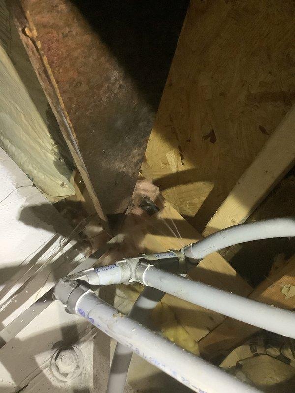 Responded to emergency plumbing call for multiple water leaks in basement area. Upon arrival, shut off main water supply to prevent further water damage. Inspected and identified spraying leak in exposed PEX piping system running through basement ceiling joists. Examined electric water heater and located secondary leak at top connections. Documented conditions with photographs showing exposed plumbing infrastructure, PVC drainage lines, and HVAC ductwork in unfinished basement space for customer records and repair planning.