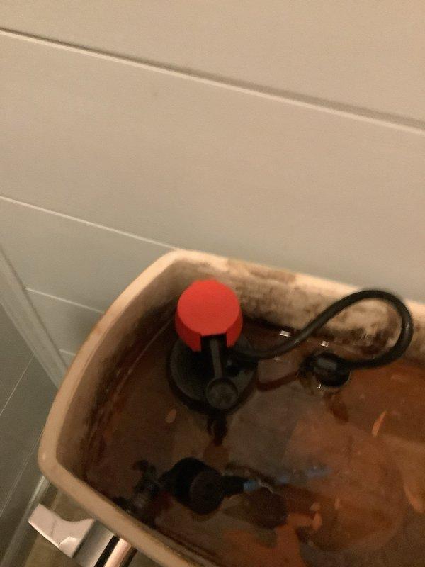 Responded to service call for comfort height toilet experiencing incomplete tank filling, resulting in inadequate flushing performance. Upon inspection, found toilet tank with significant mineral deposits, staining, and discolored water indicating aging flush valve and fill valve assembly. Tank required manual valve manipulation to achieve proper water level for effective flush. Performed mid-job assessment and presented repair options including immediate repair, partial tank rebuild, complete tank rebuild, standard flush toilet replacement, pressurized flush toilet replacement, and flange repair as needed. Documented existing water damage to surrounding flooring and baseboard, showing extensive staining and discoloration. Deployed water extraction equipment to address moisture issues in affected area. Adjusted fill valve mechanism and tested flush cycle to restore proper tank filling and flushing operation.