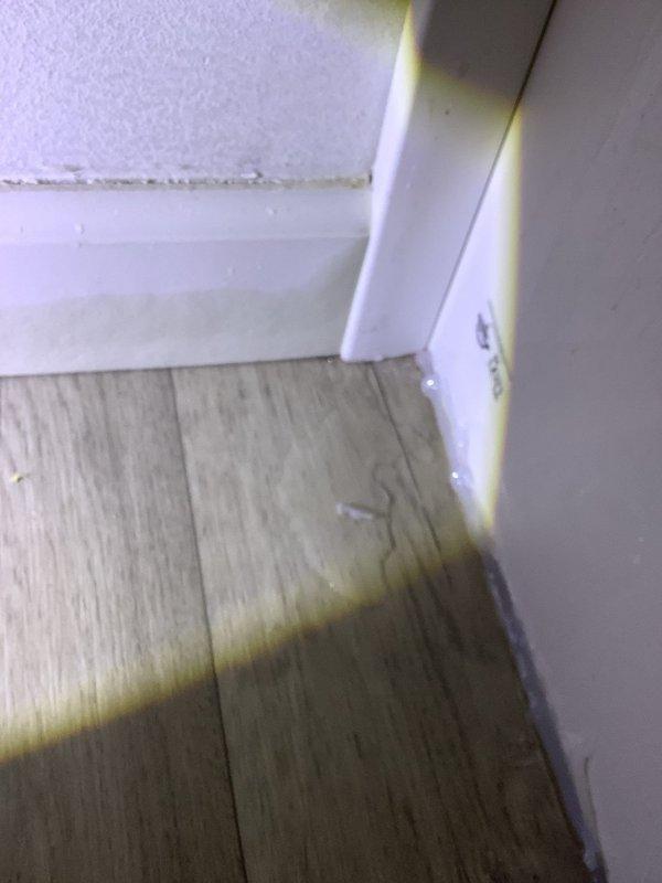 Responded to dispatch for bathroom leak investigation at walk-in shower area. Upon arrival, confirmed active water intrusion occurring after shower use, with visible moisture emerging from beneath tub and saturating floor covering. Conducted thorough inspection of shower pan, drain assembly, and surrounding plumbing connections to identify source of leak. Documented conditions with photographs showing water damage to flooring, baseboards, and wall-to-floor junctions in affected bathroom area for further diagnostic evaluation and repair planning.