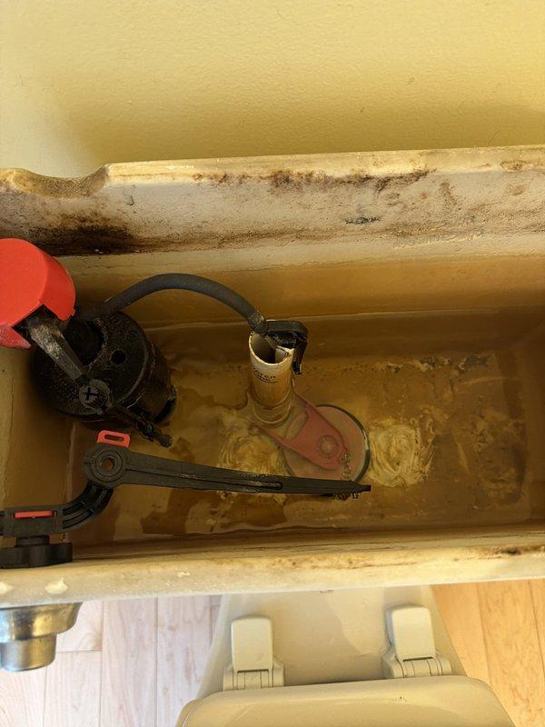 Responded to customer complaint of toilet whistling when flushed and constant dripping into bowl. Upon inspection, found deteriorated fill valve assembly with mineral buildup and sediment accumulation throughout tank interior. Identified faulty fill valve causing whistling noise and defective flush valve allowing continuous water seepage into bowl. Documented existing conditions showing significant mineral deposits, rust-colored staining, and discolored water indicating aged components requiring replacement to restore proper operation and eliminate water waste.