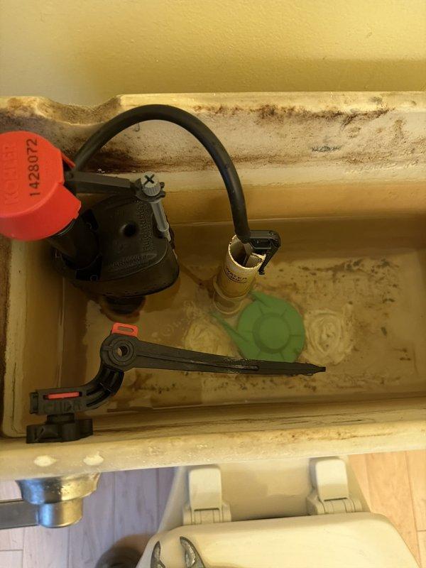Responded to customer complaint of toilet whistling when flushed and constant dripping into bowl. Upon inspection, found deteriorated fill valve assembly with mineral buildup and sediment accumulation throughout tank interior. Identified faulty fill valve causing whistling noise and defective flush valve allowing continuous water seepage into bowl. Documented existing conditions showing significant mineral deposits, rust-colored staining, and discolored water indicating aged components requiring replacement to restore proper operation and eliminate water waste.