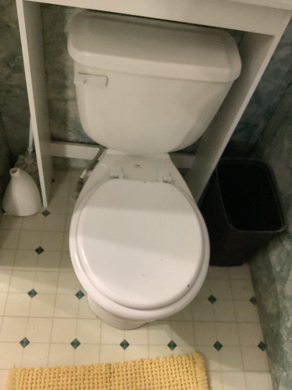 Responded to master bathroom with strong sewer smell emanating from toilet area. Inspected toilet and surrounding plumbing connections, documented conditions with photos showing bathroom layout and accessible plumbing infrastructure. Coordinated with insulation contractor who discovered and removed deceased animal from crawlspace/attic area near bathroom plumbing, which was identified as source of odor. Additional concerns noted include inadequate toilet flushing performance requiring multiple flushes and separate issue in guest bathroom where showerhead leak is causing water damage to adjacent bedroom carpet through wall penetration.