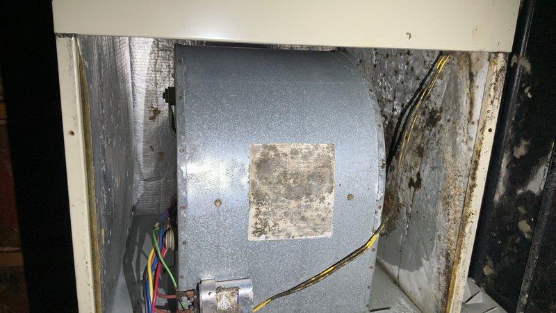 Completed comprehensive preventive maintenance inspection on existing Carrier air conditioning system. Performed standard tune-up procedures including inspection of electrical connections, motor assembly, and interior cabinet components. Noted moderate to heavy accumulation of dirt and debris throughout equipment cabinet, along with visible corrosion on metal components and wiring terminals. Documented existing conditions showing age-related deterioration including peeling paint, surface rust on mechanical components, and general weathering of cabinet interior. All electrical wiring connections inspected and found secure with proper color-coded routing through equipment housing. System operational at time of service completion.