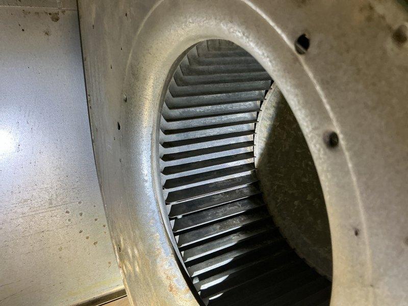Completed preventive maintenance tune-up on existing Rheem air conditioning system. Inspected blower assembly and noted dirt accumulation on blower wheel fins requiring cleaning, examined outdoor condensing unit revealing age-related weathering with rust formation on cabinet panels, verified electrical connections and refrigerant lines, and documented equipment condition with photography for maintenance records.