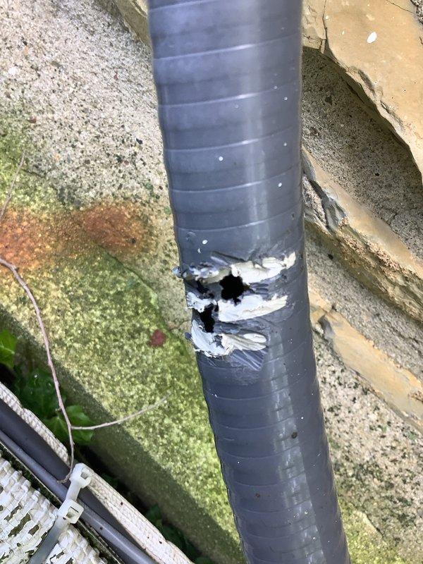 Performed comprehensive tune-up and maintenance on Samsung mini-split system installed in June 2017, confirming unit is operating without issues. Inspected and documented deteriorated refrigeration line insulation that was falling off in pieces along the exterior wall run, with exposed copper lines visible through damaged insulation sections. Evaluated electrical connections, capacitor, and terminal block inside equipment enclosure, verifying all wiring connections are secure and components are functioning properly.