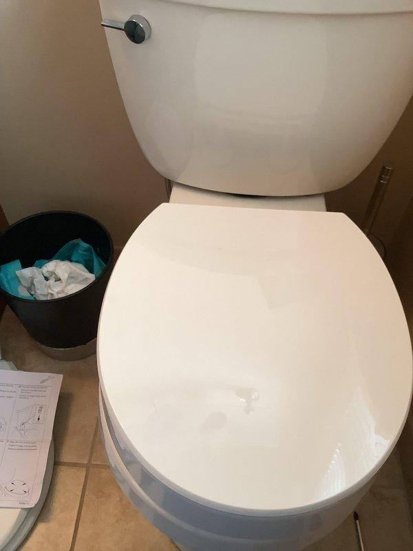 Replaced existing toilet with white comfort height model to improve accessibility and user comfort. Installed handheld showerhead assembly to provide enhanced functionality and flexibility for bathing needs. Documented completed installations with photographs showing proper fixture placement and operational status of new showerhead.