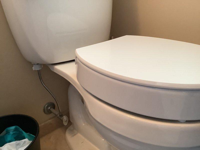 Replaced existing toilet with white comfort height model to improve accessibility and user comfort. Installed handheld showerhead assembly to provide enhanced functionality and flexibility for bathing needs. Documented completed installations with photographs showing proper fixture placement and operational status of new showerhead.