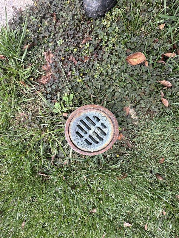 Responded to basement water leak complaint. Upon inspection, identified water accumulation near floor drain and exterior drainage system. Examined basement floor drain assembly and exterior yard drain grate for potential sources of water intrusion. Floor drain showed signs of moisture exposure with visible biological growth around fastening points, indicating chronic dampness. Exterior drain grate exhibited heavy rust and debris accumulation, suggesting potential blockage or restricted water flow. Assessed drainage piping system to rule out water softener malfunction versus drain line issues. Documented conditions with photographic evidence for reference.