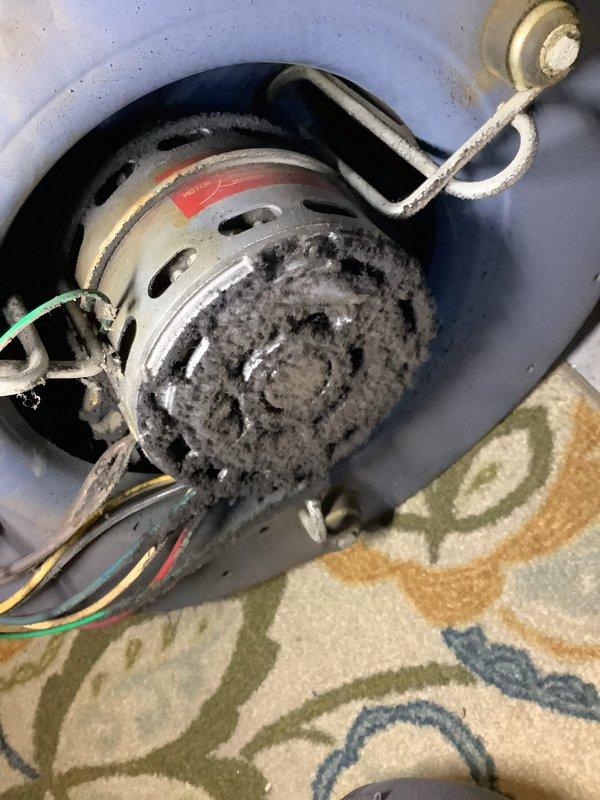 Completed comprehensive oil heating system inspection and maintenance on 2017 Thermo Pride furnace, including full cleaning and servicing with installation of 0.75 x 80°B nozzle and F15-48 filter replacement. Additionally performed blower wheel cleaning as previously estimated from AC inspection, removing significant dust and lint accumulation from motor assembly and housing components to restore proper airflow and system efficiency.