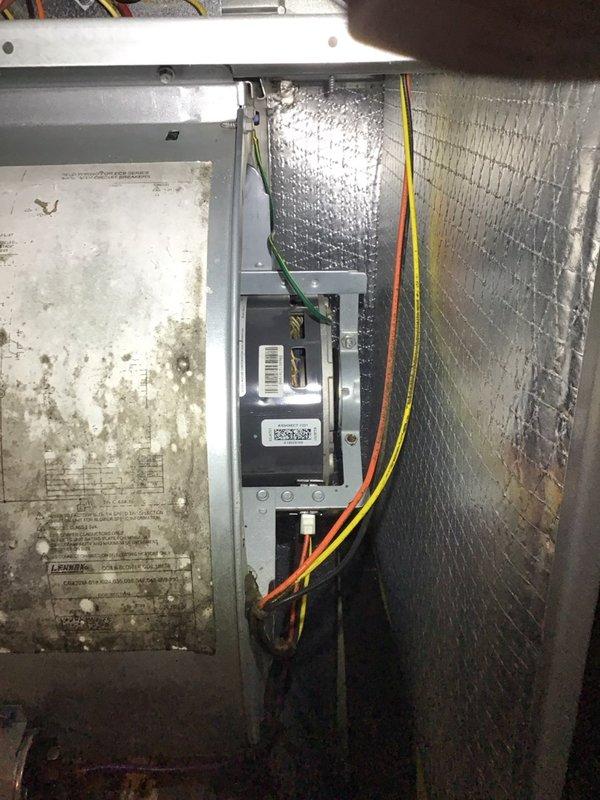 Performed a heat pump tune-up on a Lennox system installed in 2018, inspecting the indoor air handler and outdoor condenser including the electrical compartment, contactor, capacitor, and wiring. Observed heavy mold/mildew staining and buildup on the blower housing and dust accumulation on the motor and wiring, and documented blower wheel cleaning as a recommended repair for system efficiency and indoor air quality.