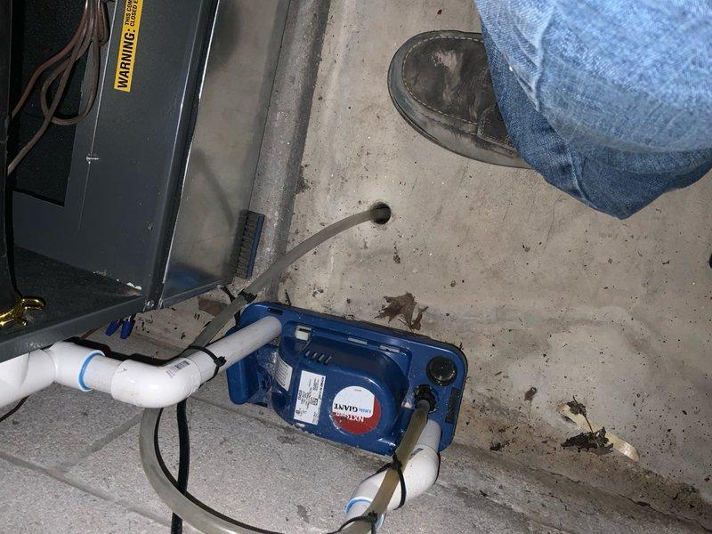 Performed scheduled preventative tune-up on furnace and AC unit (PTU Furnace and AC10-276). Inspected condensate pump system and drainage connections in utility area, ensuring proper installation and function. Removed and inspected copper heat exchanger components for cleaning and maintenance.