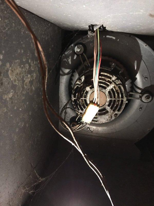 Completed scheduled AC tune-up maintenance during preferred morning timeframe. Performed comprehensive system inspection including blower motor assembly, air handler components, and attic-mounted equipment. Documented system condition with photos showing blower motor operation, electrical connections, and insulation integrity around HVAC components in confined access areas.