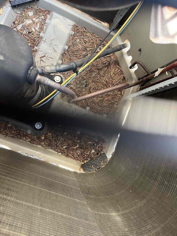 Completed Club AC10-2 preventive maintenance agreement visit on split system air conditioning unit. Upon inspection, discovered significant accumulation of organic debris, including pine needles and dried plant material, completely filling the evaporator coil drain pan and obstructing proper drainage pathways. Removed all debris from drain pan and verified drain line functionality to prevent potential water damage and system shutdown. Performed standard maintenance protocol including inspection of evaporator coils, condensate drainage system, PVC drain line connections, electrical components, and furnace unit. All system components operating within normal parameters following cleaning and inspection.