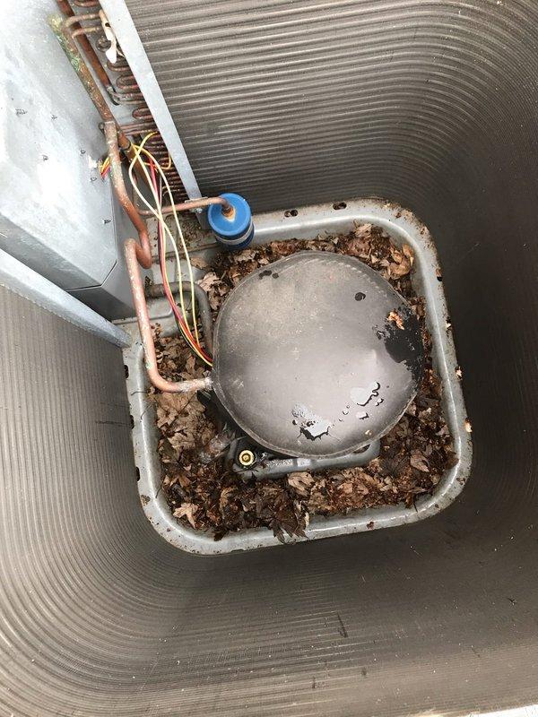 # HVAC Maintenance Visit Completed

Performed scheduled AC maintenance tune-up on residential air conditioning system. Upon arrival, found exterior condensing unit with significant accumulation of leaves, dirt, and organic debris both inside the cabinet and in the condensate drain pan area. Removed protective panels to access interior components and thoroughly cleaned condenser coil fins, which showed heavy soiling and environmental buildup. Cleared condensate drain pan of decomposed leaf matter and debris that had accumulated around drain components. Inspected refrigerant lines, electrical connections, and safety devices including float switch. Removed debris from unit base and surrounding area to ensure proper airflow and drainage. Documented pre-cleaning conditions showing extent of debris accumulation affecting system efficiency. Restored unit to clean operating condition and verified proper system operation. Photographed equipment condition for maintenance records.