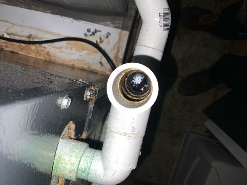 Responded to no-cool call on 6-year-old Daikin central air conditioning system. Upon inspection, found outdoor unit not operating and confirmed condensate drainage issues in basement air handler. Discovered clogged condensate drain line with significant biological growth and mineral deposits restricting flow, causing water backup at evaporator coil drain pan. Cleared condensate line obstruction using mechanical methods and verified proper drainage. Inspected evaporator coil and drain pan, noting rust staining and deterioration consistent with previous overflow conditions. Tested system operation and confirmed outdoor unit now engaging properly, achieving normal cooling cycle. Advised ongoing maintenance of condensate system to prevent future blockages.