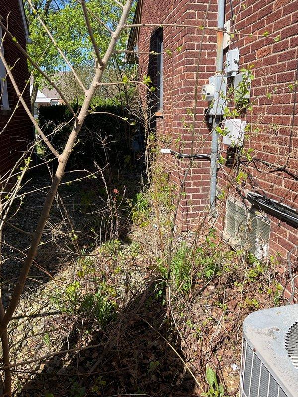 Conducted on-site evaluation for HVAC system replacement at residential property. Assessed existing York furnace and air handler unit located in basement mechanical room, documenting current equipment configuration including condensate drainage system, PVC venting network, and ductwork connections. Evaluated exterior condensing unit positioned in overgrown side yard area adjacent to building, noting accessibility challenges due to vegetation encroachment. Prepared comprehensive replacement estimate quotes 03625-07 and 03625-03 with photographic documentation of existing system components and installation environment.