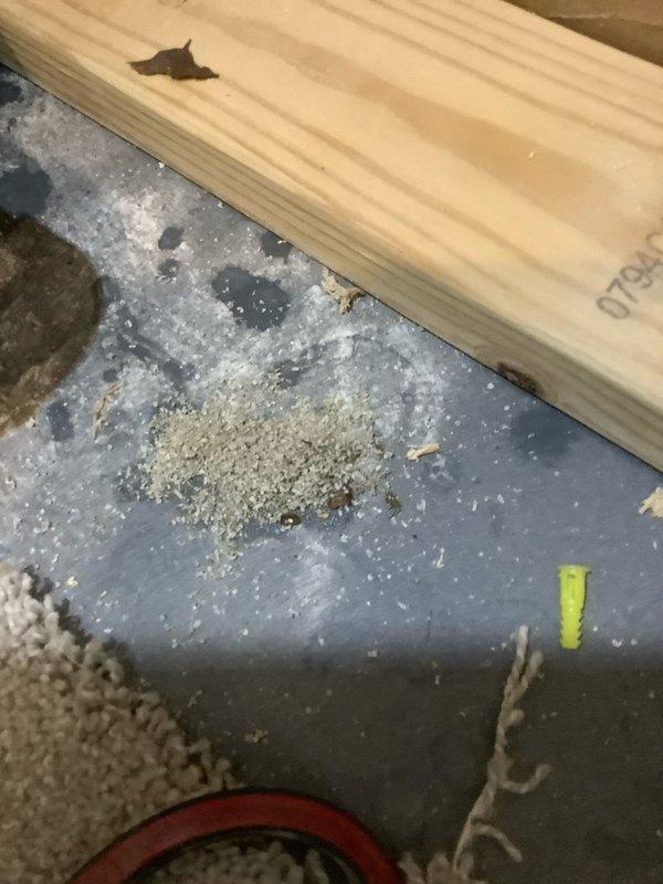Responded to no-heat call on furnace system over 10 years old following recent concrete work in basement. Upon arrival, found construction debris and materials throughout work area with evidence of active basement renovations. Traced furnace power issue to disconnected or tripped electrical supply caused by construction activity. Verified proper gas supply, restored electrical power to unit, and confirmed furnace ignition sequence and burner operation. System returned to normal heating operation with all safety controls functioning properly.