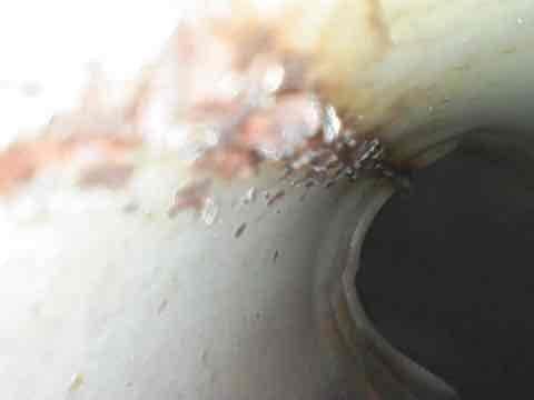 Completed scheduled AC tune-up and maintenance inspection on residential air conditioning system. During inspection, identified deteriorated condensate drain line with visible corrosion and surface degradation requiring attention, and documented ductwork and insulation conditions in mechanical space. All routine maintenance tasks performed per agreement specifications, system operational at time of departure.