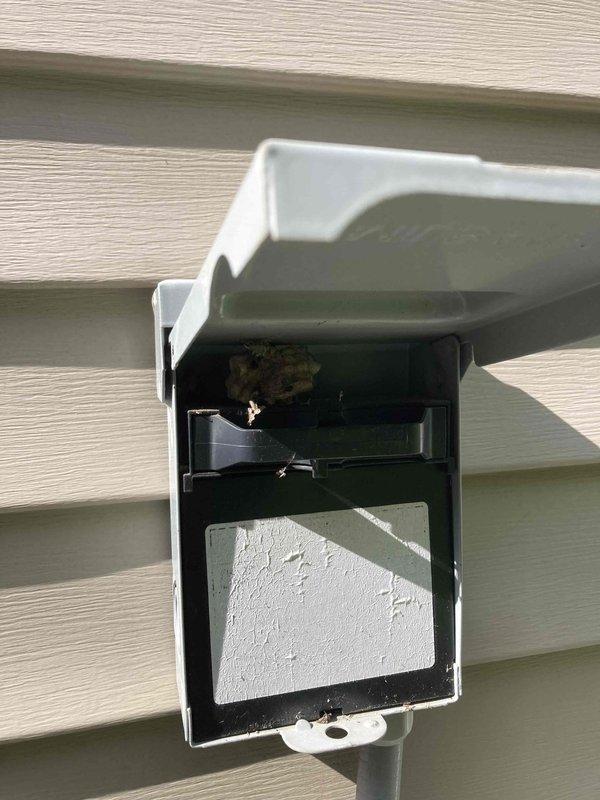 Completed routine maintenance tune-up on 8-year-old air conditioning system. Performed standard inspection of outdoor condenser unit including blower motor assembly and electrical connections. System operating within normal parameters upon completion of service.