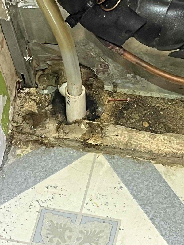 Completed scheduled AC tune-up maintenance on Nortek NTRL 072A AN system as part of prepaid membership agreement. Inspected and documented significant debris accumulation and biological growth in condensate drain pan area, cleaned drain lines and PVC connections, and verified proper drainage function. Performed standard system inspection including copper refrigerant lines, ductwork connections, and all mechanical components to ensure optimal performance for the cooling season.