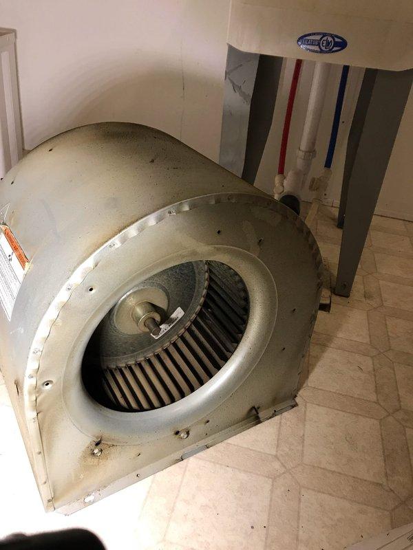 Completed preventive maintenance tune-up on residential air conditioning system. Performed comprehensive inspection of blower assembly and evaporator coil, documenting equipment condition with interior and exterior photographs. All components found operating within normal parameters; unit returned to service.