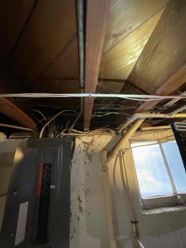 Completed site assessment for HVAC system replacement quote. Unit not providing adequate cooling. Inspected electrical panel and circuit breakers in basement utility area to verify electrical capacity and compatibility for new equipment installation. Evaluated attic space access and existing infrastructure including electrical conduit routing and structural considerations for equipment placement. Documented current electrical service configuration and mechanical space conditions to prepare comprehensive replacement estimate.