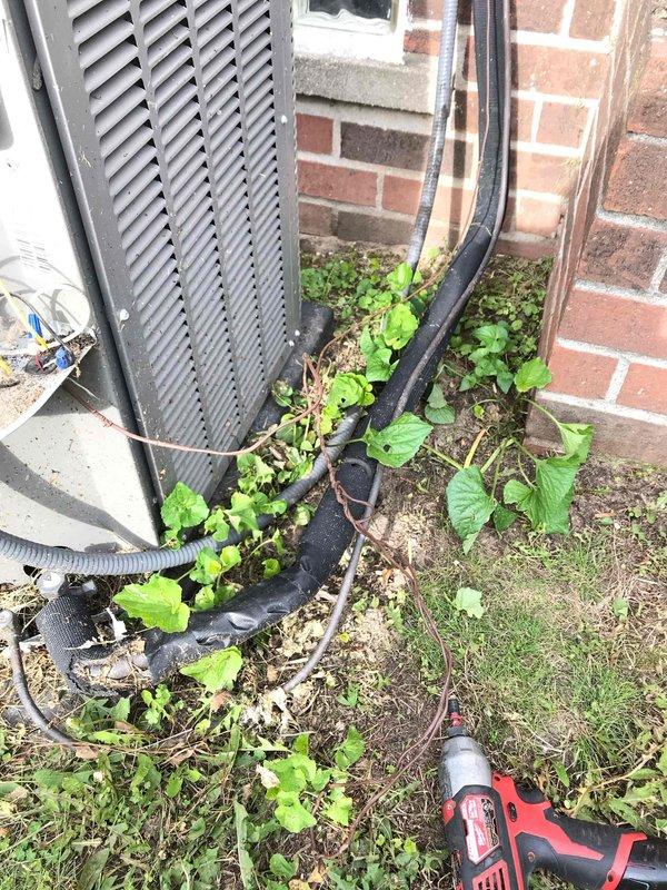 # HVAC Service Report

Responded to no-cool service call for outdoor condensing unit. Upon arrival, found condenser fan motor inoperative while compressor was attempting to cycle. Observed significant vegetation overgrowth and debris accumulation around unit base and perimeter, restricting airflow and creating potential for component damage. Cleared weeds, grass clippings, and organic debris from around equipment and foundation area to restore proper clearance and ventilation. Inspected fan motor and capacitor connections, diagnosed failed fan motor preventing proper heat rejection. Replaced defective condenser fan motor and verified proper rotation and amperage draw. Tested system operation through complete cooling cycle, confirmed adequate airflow across condenser coil and normal operating pressures. Unit restored to full cooling capacity.