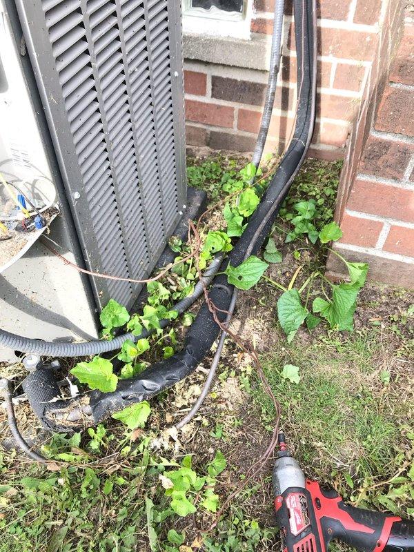 # HVAC Service Report

Responded to no-cool service call for outdoor condensing unit. Upon arrival, found condenser fan motor inoperative while compressor was attempting to cycle. Observed significant vegetation overgrowth and debris accumulation around unit base and perimeter, restricting airflow and creating potential for component damage. Cleared weeds, grass clippings, and organic debris from around equipment and foundation area to restore proper clearance and ventilation. Inspected fan motor and capacitor connections, diagnosed failed fan motor preventing proper heat rejection. Replaced defective condenser fan motor and verified proper rotation and amperage draw. Tested system operation through complete cooling cycle, confirmed adequate airflow across condenser coil and normal operating pressures. Unit restored to full cooling capacity.