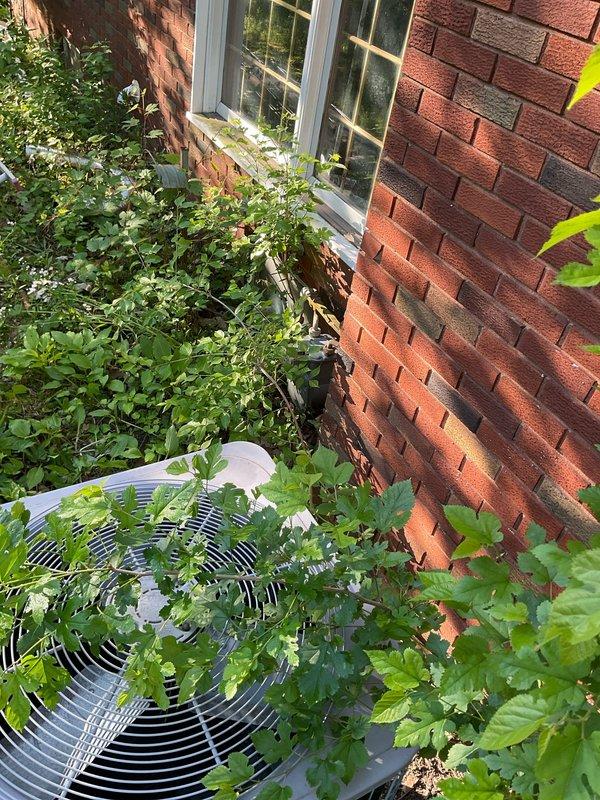 Conducted on-site assessment of existing outdoor air conditioning condenser unit for replacement estimate. Unit located in residential backyard setting with significant vegetation overgrowth impeding proper airflow and accessibility. Documented current equipment condition showing cylindrical cage-style condenser with compromised clearance due to dense vines and plants growing around and over the unit. Evaluated installation site constraints including proximity to brick building foundation, adjacent white lattice fencing, and garden furniture placement. Captured photographic documentation of unit positioning, surrounding obstructions, and access points for potential same-day replacement installation. Provided comprehensive system replacement quote addressing necessary vegetation clearance and proper equipment spacing requirements per manufacturer specifications.