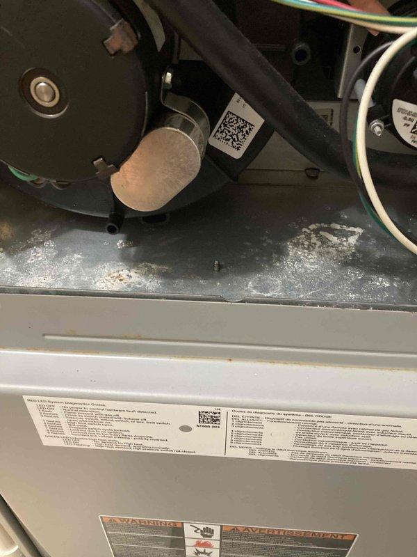 Completed preventive maintenance tune-up on HVAC system. Performed comprehensive inspection of blower motor assembly, control module, electrical components, and refrigerant lines. All components operating within normal parameters; system cleaned and tested for proper operation.