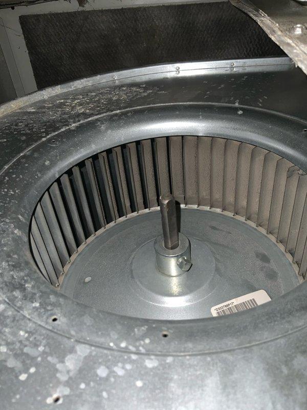 Completed preventive maintenance tune-up on HVAC system. Inspected control board and electrical connections, verified proper wiring terminations and component operation. Observed dust accumulation on blower assembly and housing; noted normal operational wear consistent with system usage requiring standard cleaning during maintenance service.